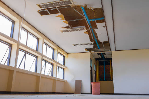 Best Carpet water damage restoration  in Kenton, TN