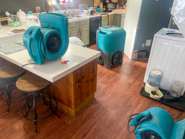 Best Water damage restoration experts  in Kenton, TN