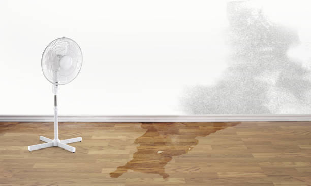 Best 24/7 water damage repair  in Kenton, TN
