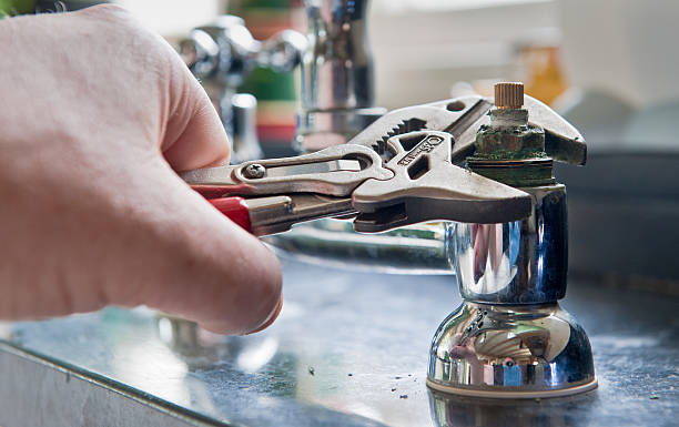 Best Professional water damage repair  in Kenton, TN