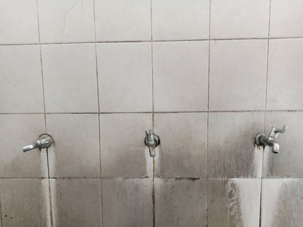 Best Ceiling water damage repair  in Kenton, TN