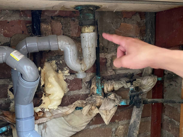 Best Mold removal after water damage  in Kenton, TN