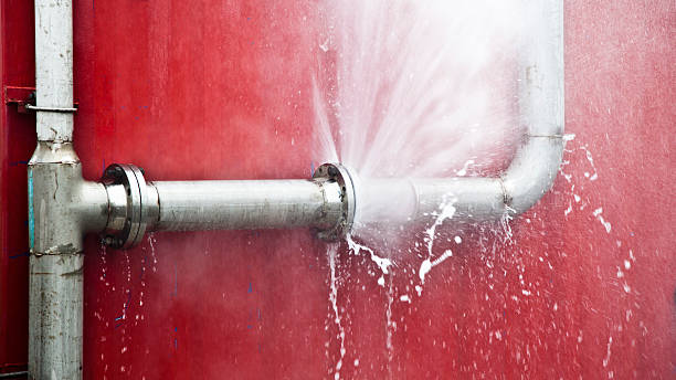 Water damage restoration mold remediation in Kenton, TN